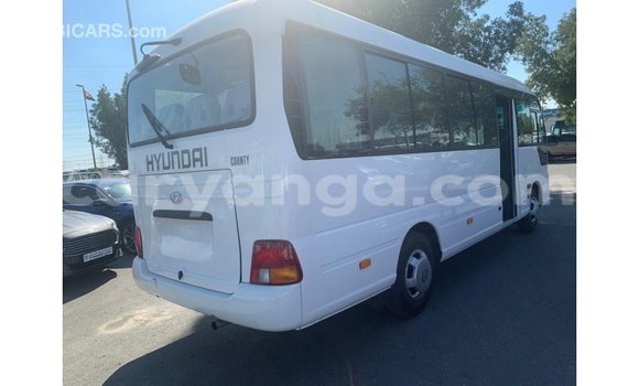 Buy Import Hyundai Chorus White Truck in Import - Dubai in Malawi Buy Import Hyundai Chorus White Truck in Import - Dubai in Malawi