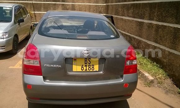 Buy Used Nissan Primera Other Car in Limbe in Malawi Buy Used Nissan Primera Other Car in Limbe in Malawi
