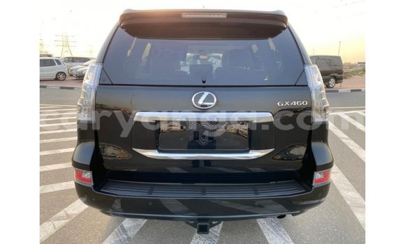 Buy Import Lexus GX Black Car in Import - Dubai in Malawi Buy Import Lexus GX Black Car in Import - Dubai in Malawi