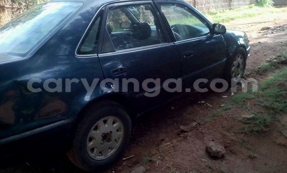 Buy Used Toyota Sprinter Blue Car in Limbe in Malawi