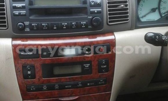 Buy Used Toyota Corolla Silver Car in Limbe in Malawi Buy Used Toyota Corolla Silver Car in Limbe in Malawi