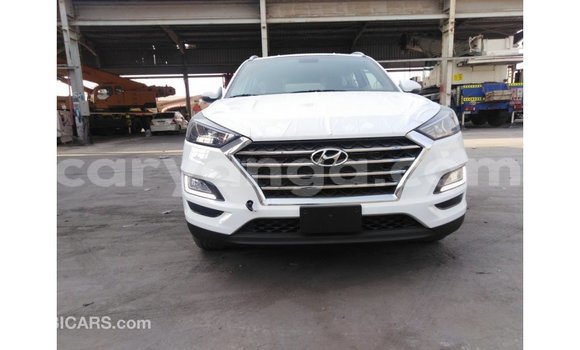 Buy Import Hyundai Tucson White Car in Import - Dubai in Malawi Buy Import Hyundai Tucson White Car in Import - Dubai in Malawi
