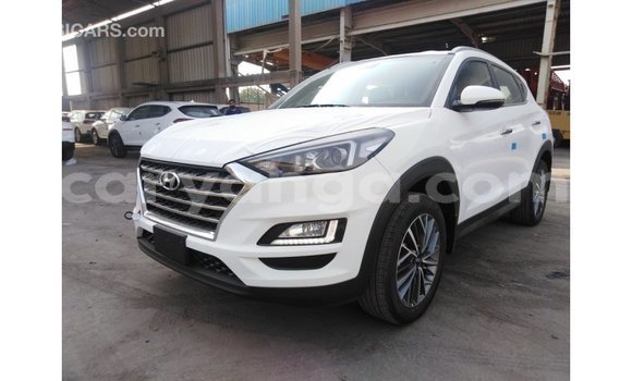 Buy Import Hyundai Tucson White Car in Import - Dubai in Malawi Buy Import Hyundai Tucson White Car in Import - Dubai in Malawi
