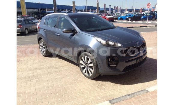 Buy Import Kia Sportage Blue Car in Import - Dubai in Malawi Buy Import Kia Sportage Blue Car in Import - Dubai in Malawi