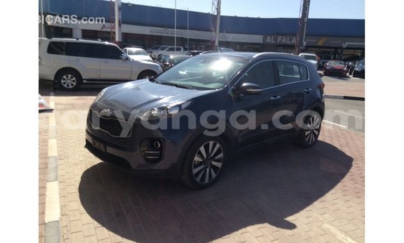 Buy Import Kia Sportage Blue Car in Import - Dubai in Malawi Buy Import Kia Sportage Blue Car in Import - Dubai in Malawi