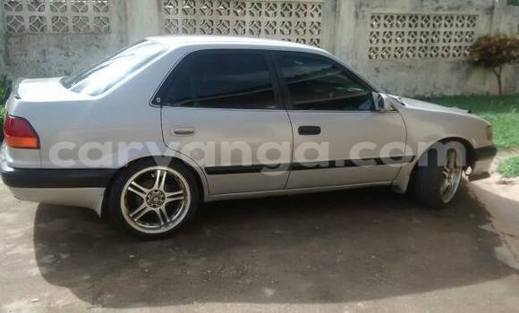 Buy Used Toyota Corolla Silver Car in Limbe in Malawi Buy Used Toyota Corolla Silver Car in Limbe in Malawi