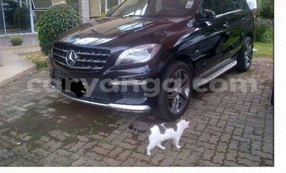 Buy Used Mercedes‒Benz ML–Class Black Car in Limbe in Malawi