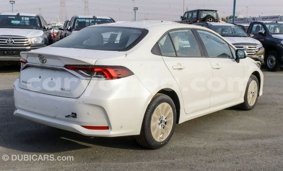 Buy Import Toyota Corolla White Car in Import - Dubai in Malawi Buy Import Toyota Corolla White Car in Import - Dubai in Malawi