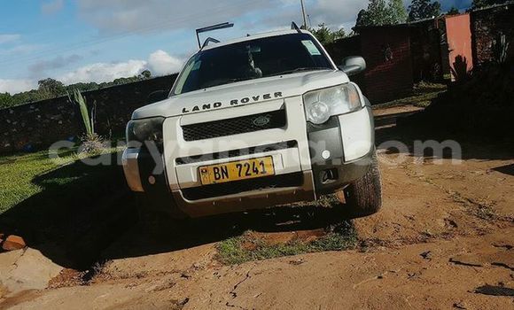 Buy Used Land Rover Freelander White Car in Limbe in Malawi