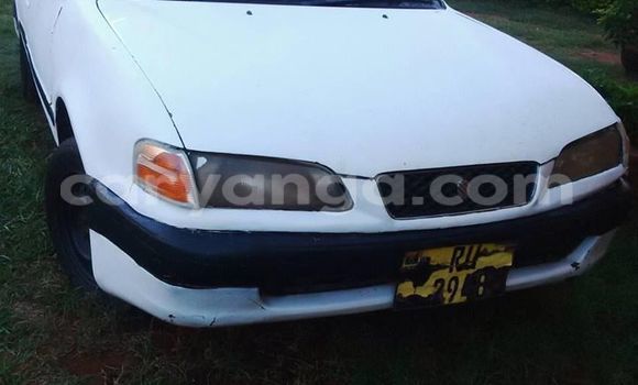 Buy Used Toyota Sprinter White Car in Limbe in Malawi Buy Used Toyota Sprinter White Car in Limbe in Malawi