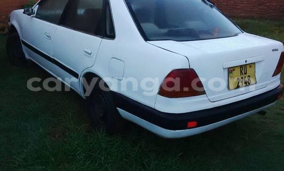 Buy Used Toyota Sprinter White Car in Limbe in Malawi Buy Used Toyota Sprinter White Car in Limbe in Malawi