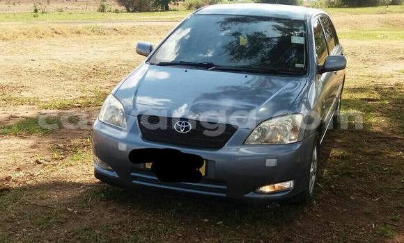 Acheter Occasion Voiture Toyota Runx Autre à Limbe, Malawi Acheter Occasion Voiture Toyota Runx Autre à Limbe, Malawi