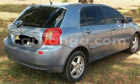 Acheter Occasion Voiture Toyota Runx Autre à Limbe, Malawi Acheter Occasion Voiture Toyota Runx Autre à Limbe, Malawi