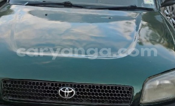 Acheter Occasion Voiture Toyota RAV4 Vert à Limbe, Malawi