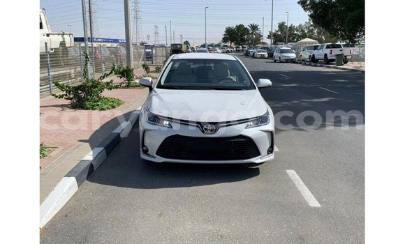 Buy Import Toyota Corolla White Car in Import - Dubai in Malawi Buy Import Toyota Corolla White Car in Import - Dubai in Malawi