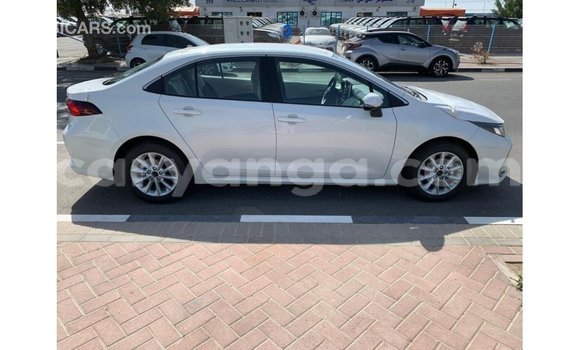 Buy Import Toyota Corolla White Car in Import - Dubai in Malawi Buy Import Toyota Corolla White Car in Import - Dubai in Malawi