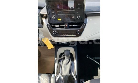 Buy Import Toyota Corolla White Car in Import - Dubai in Malawi Buy Import Toyota Corolla White Car in Import - Dubai in Malawi