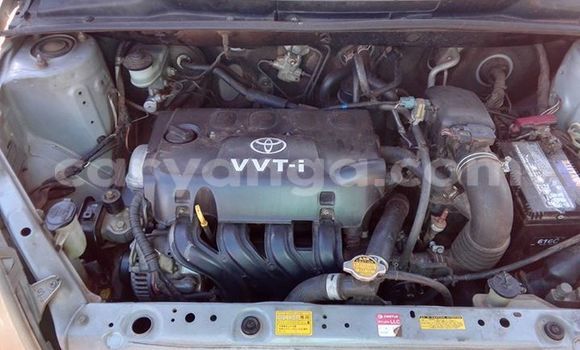 Buy Used Toyota Vitz Silver Car in Limbe in Malawi Buy Used Toyota Vitz Silver Car in Limbe in Malawi
