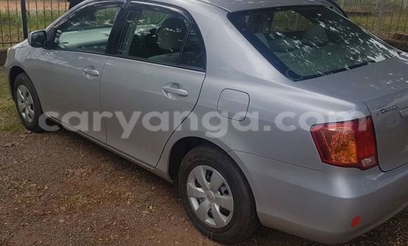 Acheter Occasion Voiture Toyota Axio Gris à Limbe, Malawi Acheter Occasion Voiture Toyota Axio Gris à Limbe, Malawi