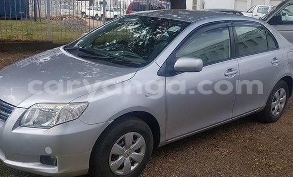 Acheter Occasion Voiture Toyota Axio Gris à Limbe, Malawi Acheter Occasion Voiture Toyota Axio Gris à Limbe, Malawi