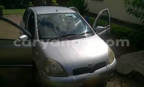Buy Used Toyota Vitz Silver Car in Limbe in Malawi Buy Used Toyota Vitz Silver Car in Limbe in Malawi