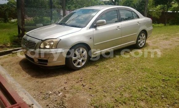 Buy Used Toyota Avensis Silver Car in Limbe in Malawi