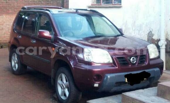 Buy Used Nissan X–Trail Red Car in Limbe in Malawi Buy Used Nissan X–Trail Red Car in Limbe in Malawi