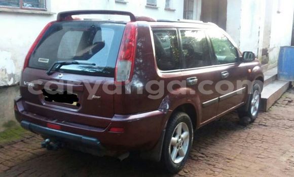 Buy Used Nissan X–Trail Red Car in Limbe in Malawi Buy Used Nissan X–Trail Red Car in Limbe in Malawi