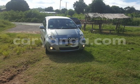 Buy Used Toyota Vitz Silver Car in Limbe in Malawi