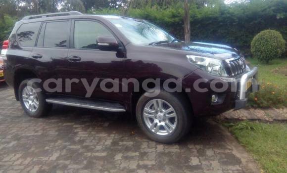 Nunua Ilio tumika Toyota Land Cruiser Prado Other Gari ndani ya Limbe nchini Malawi Nunua Ilio tumika Toyota Land Cruiser Prado Other Gari ndani ya Limbe nchini Malawi