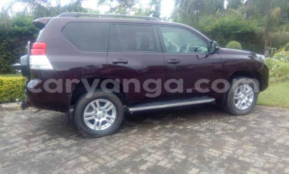 Nunua Ilio tumika Toyota Land Cruiser Prado Other Gari ndani ya Limbe nchini Malawi Nunua Ilio tumika Toyota Land Cruiser Prado Other Gari ndani ya Limbe nchini Malawi