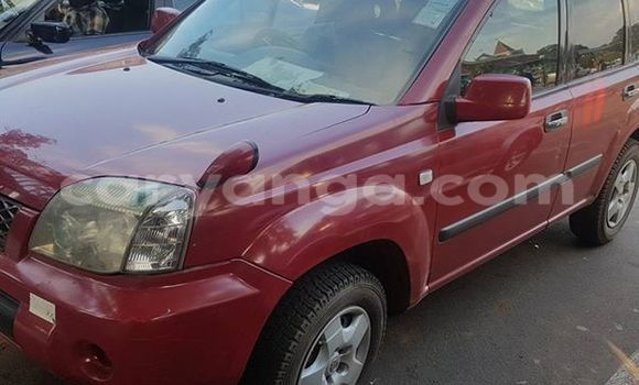 Acheter Occasion Voiture Nissan X–Trail Rouge à Limbe, Malawi Acheter Occasion Voiture Nissan X–Trail Rouge à Limbe, Malawi