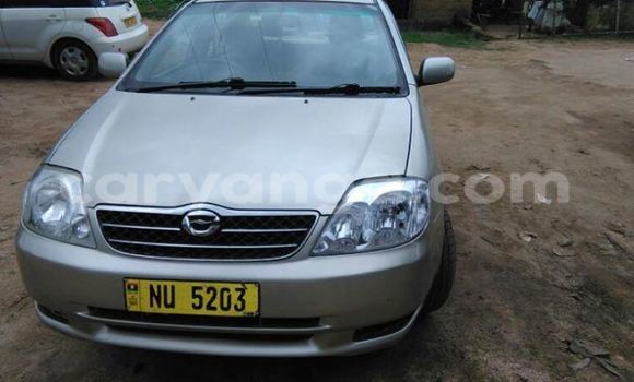 Buy Used Toyota Corolla Silver Car in Limbe in Malawi Buy Used Toyota Corolla Silver Car in Limbe in Malawi