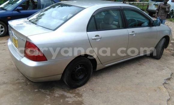 Buy Used Toyota Corolla Silver Car in Limbe in Malawi Buy Used Toyota Corolla Silver Car in Limbe in Malawi