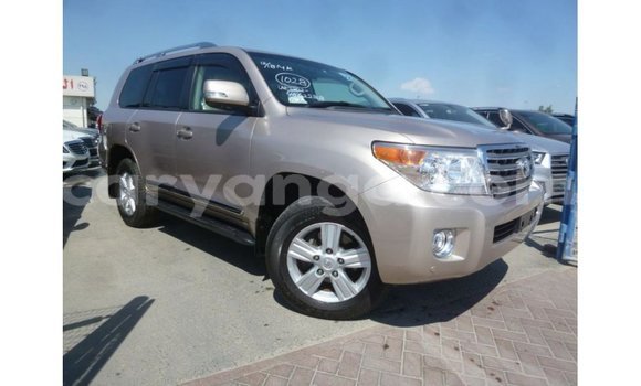 Buy Import Toyota Land Cruiser Other Car in Import - Dubai in Malawi