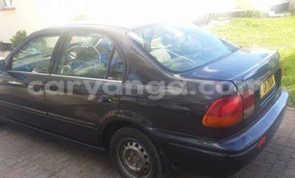 Buy Used Honda Accord Black Car in Blantyre in Malawi Buy Used Honda Accord Black Car in Blantyre in Malawi