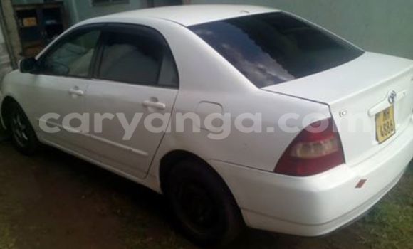 Buy Used Toyota 4Runner White Car in Blantyre in Malawi Buy Used Toyota 4Runner White Car in Blantyre in Malawi