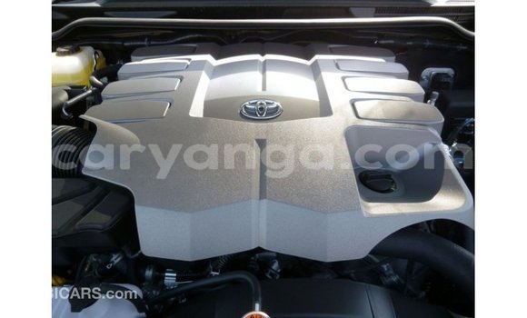 Buy Import Toyota Land Cruiser Brown Car in Import - Dubai in Malawi Buy Import Toyota Land Cruiser Brown Car in Import - Dubai in Malawi