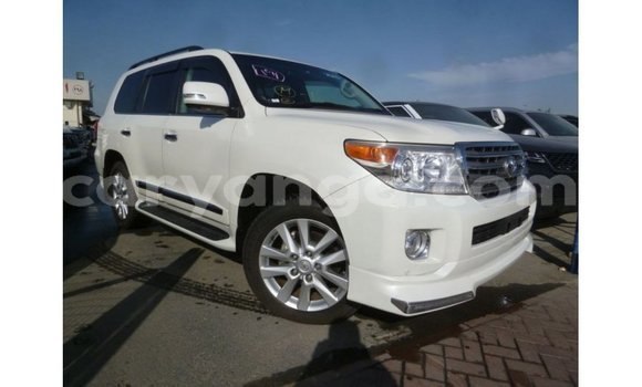 Buy Import Toyota Land Cruiser White Car in Import - Dubai in Malawi