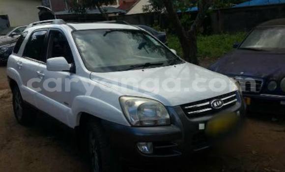 Buy Used Kia Sportage White Car in Limbe in Malawi