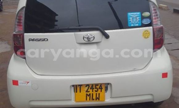 Buy Used Toyota Paseo White Car in Limbe in Malawi Buy Used Toyota Paseo White Car in Limbe in Malawi