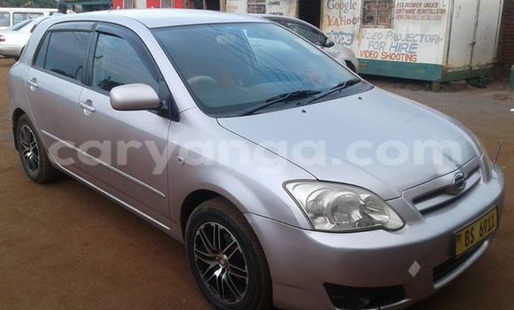 Buy Used Toyota Runx Silver Car in Limbe in Malawi Buy Used Toyota Runx Silver Car in Limbe in Malawi