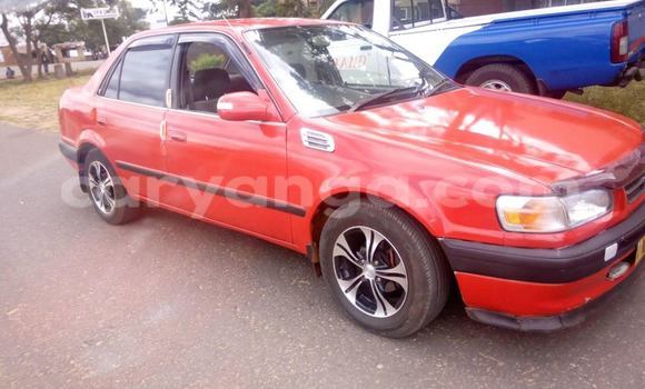 Buy Used Toyota Corolla Red Car in Limbe in Malawi Buy Used Toyota Corolla Red Car in Limbe in Malawi