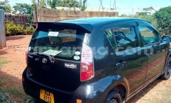 Buy Used Toyota Paseo Black Car in Limbe in Malawi Buy Used Toyota Paseo Black Car in Limbe in Malawi