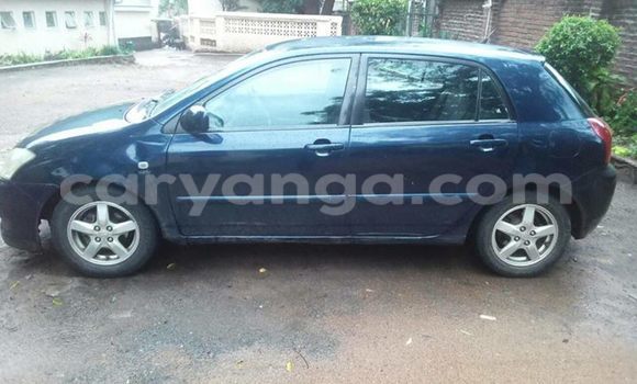 Buy Used Toyota Runx Black Car in Limbe in Malawi Buy Used Toyota Runx Black Car in Limbe in Malawi