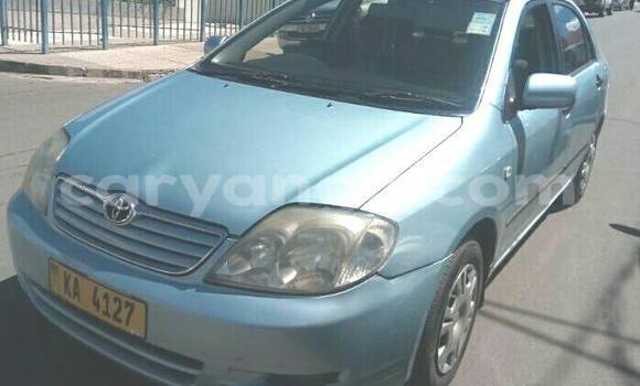 Buy Used Toyota Corolla Other Car in Limbe in Malawi Buy Used Toyota Corolla Other Car in Limbe in Malawi