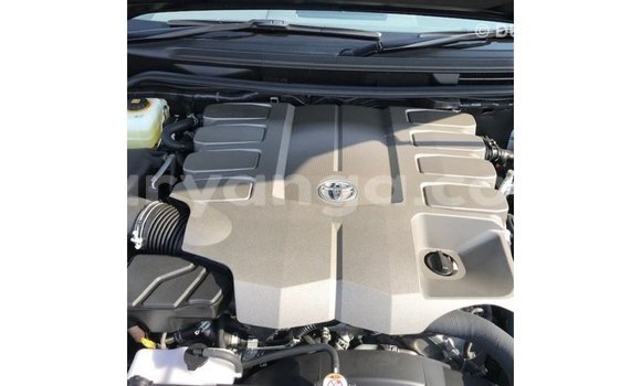 Buy Import Toyota Land Cruiser Black Car in Import - Dubai in Malawi Buy Import Toyota Land Cruiser Black Car in Import - Dubai in Malawi