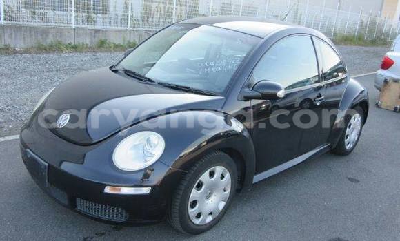 Buy Used Volkswagen Beetle Black Car in Limbe in Malawi Buy Used Volkswagen Beetle Black Car in Limbe in Malawi