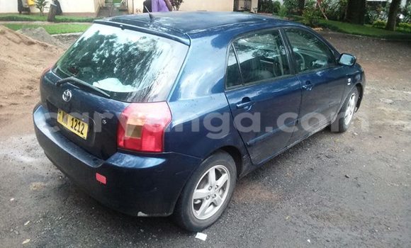Buy Used Toyota Runx Blue Car in Limbe in Malawi Buy Used Toyota Runx Blue Car in Limbe in Malawi