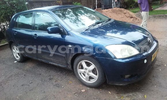 Buy Used Toyota Runx Blue Car in Limbe in Malawi Buy Used Toyota Runx Blue Car in Limbe in Malawi